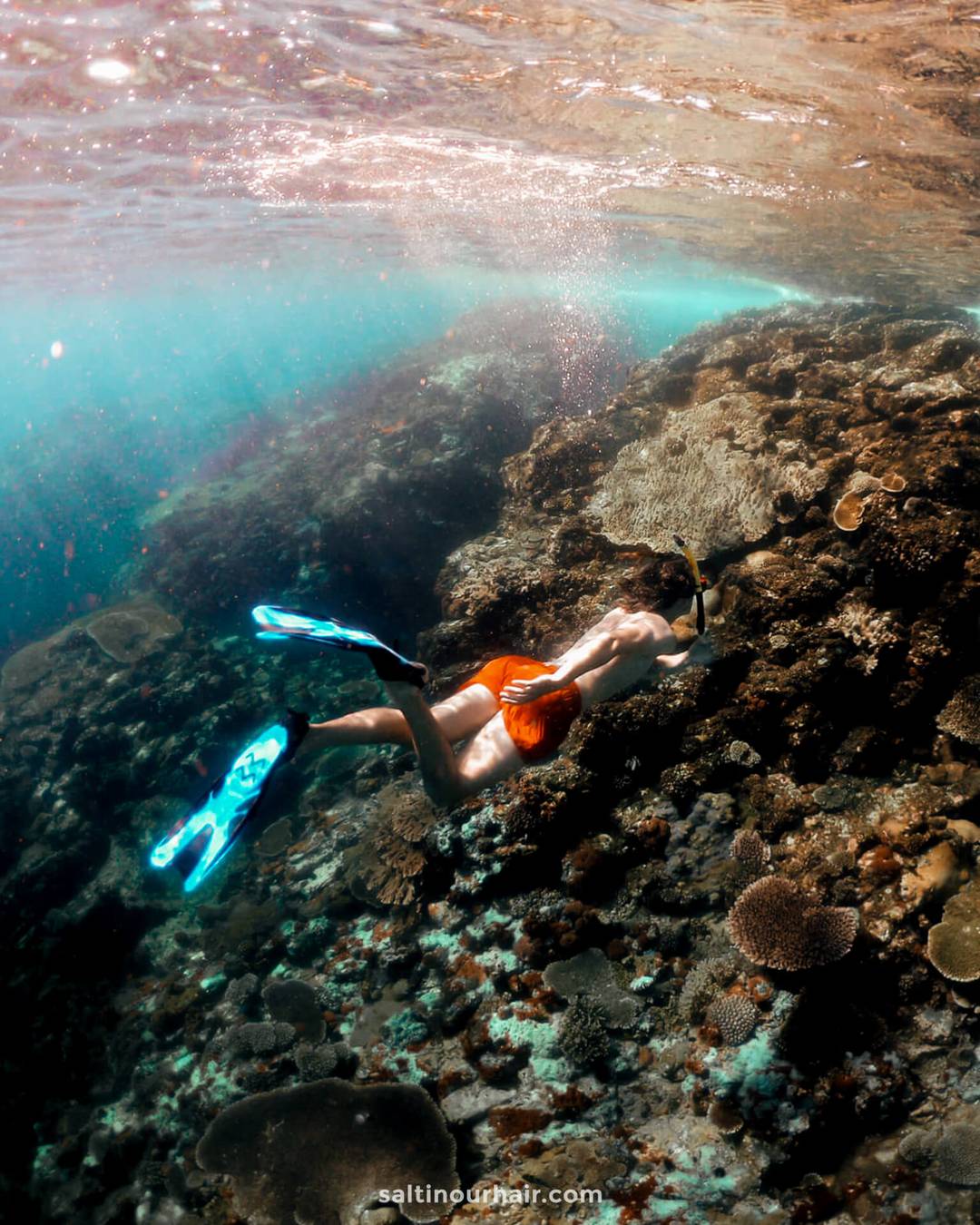 diving traveling
