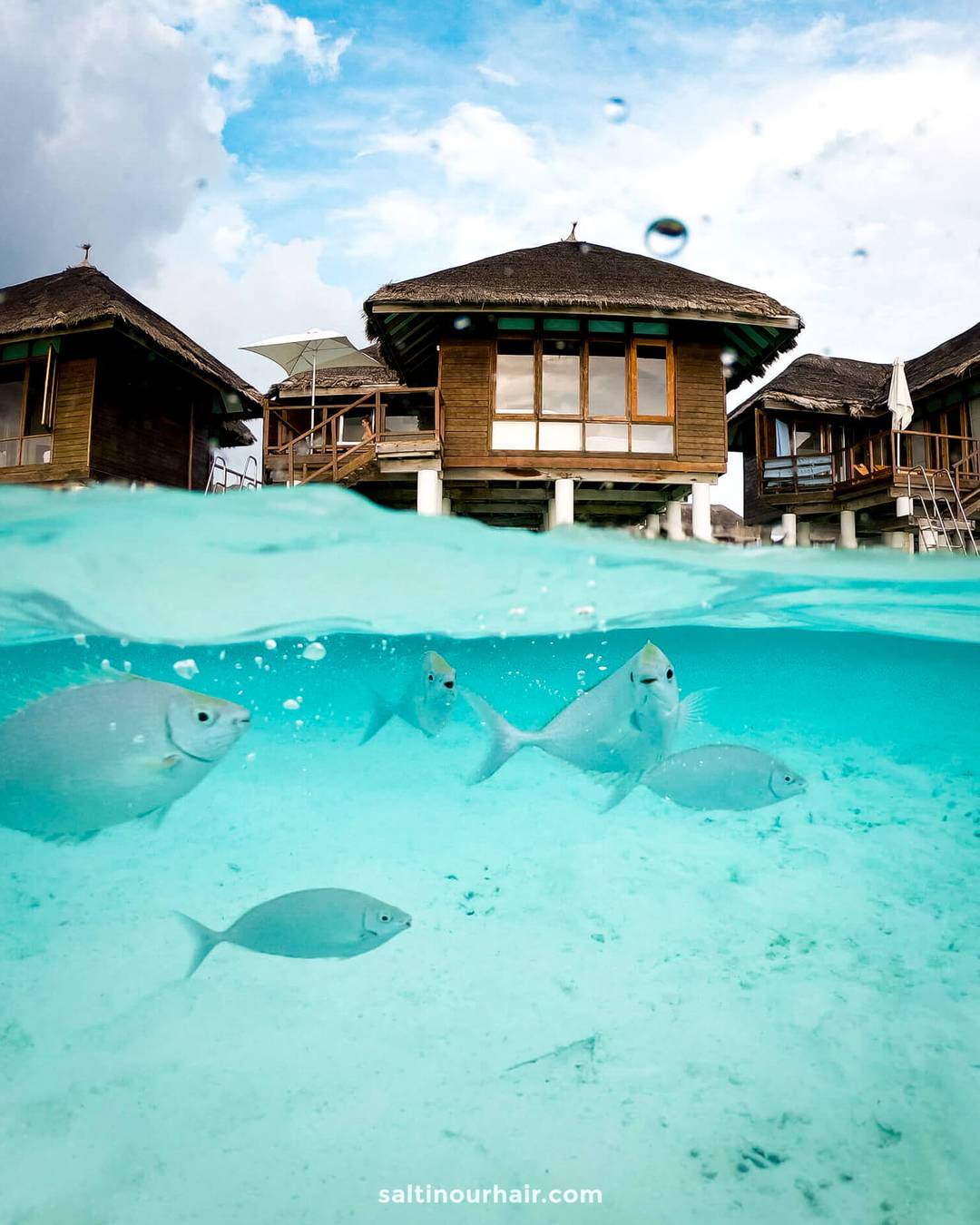 snorkeling traveling