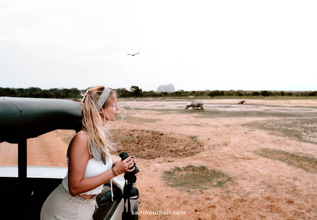 wildlife tourism better alternatives