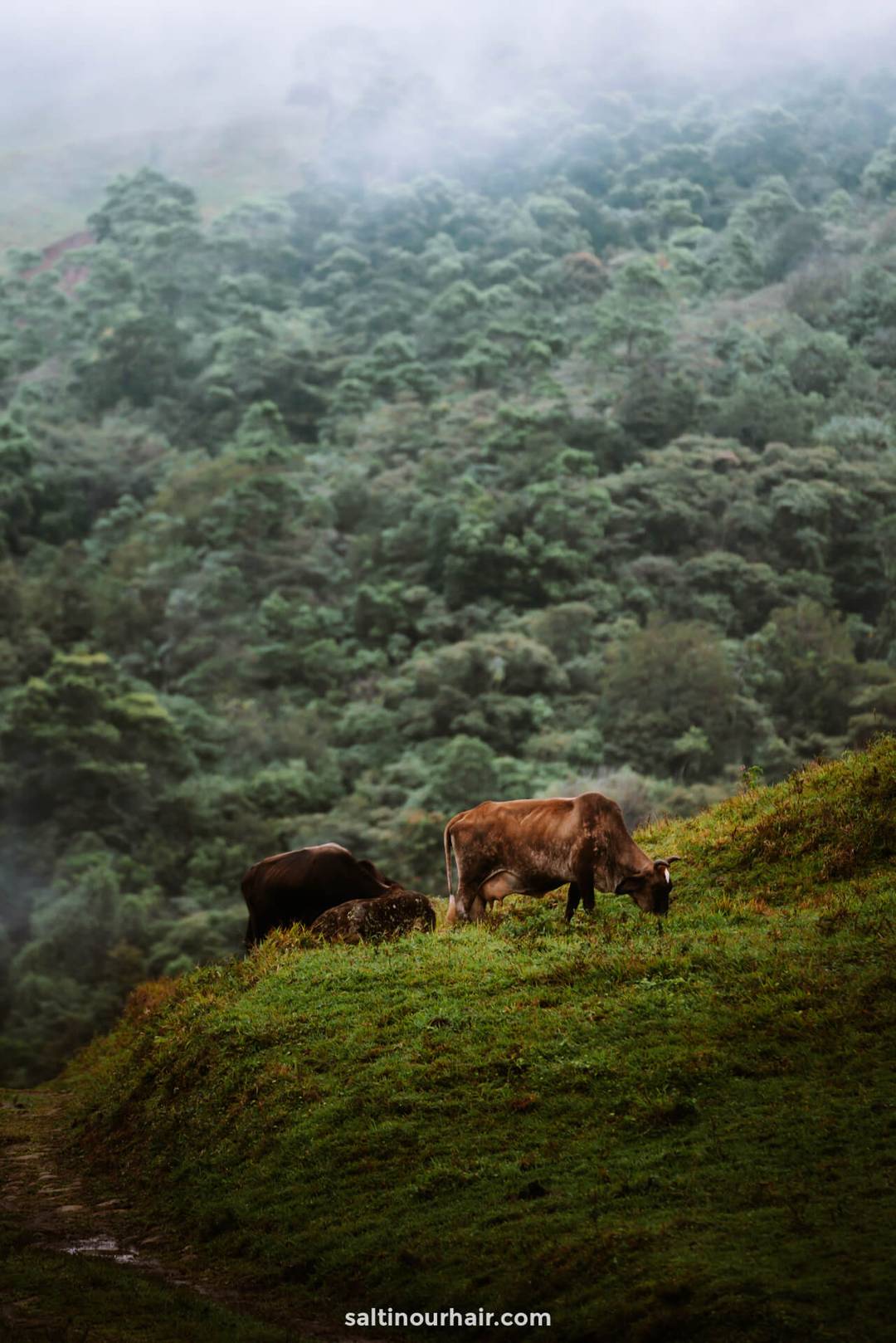 costa rica bergen