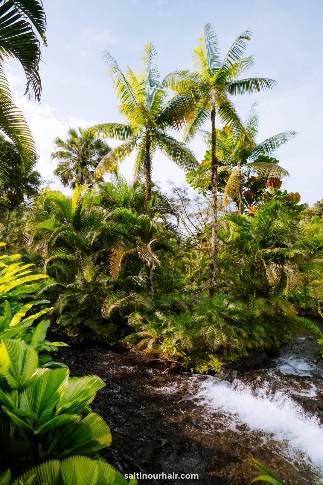 spa la fortuna
