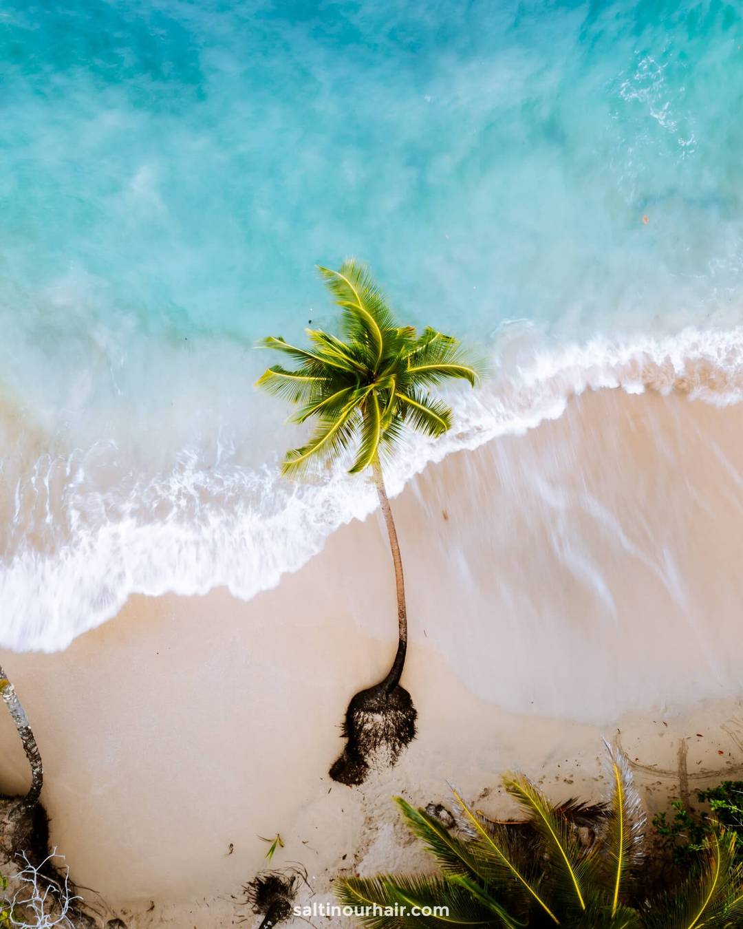 tropical beach costa rica