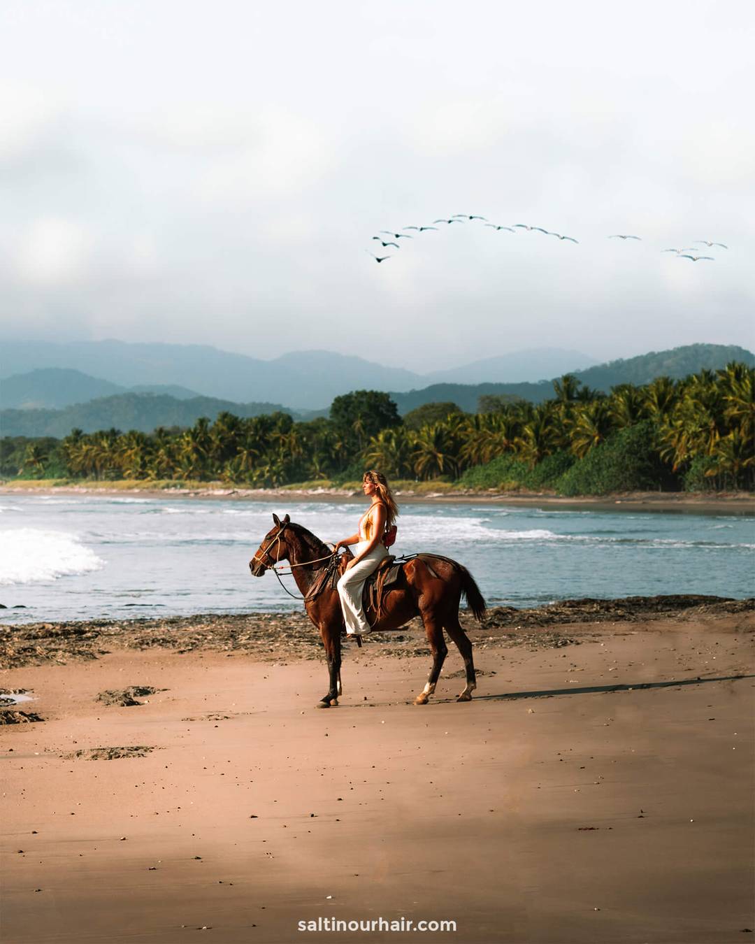 santa teresa costa rica horse riding
