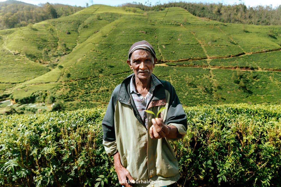 sri lanka reisgids nuwara eliya