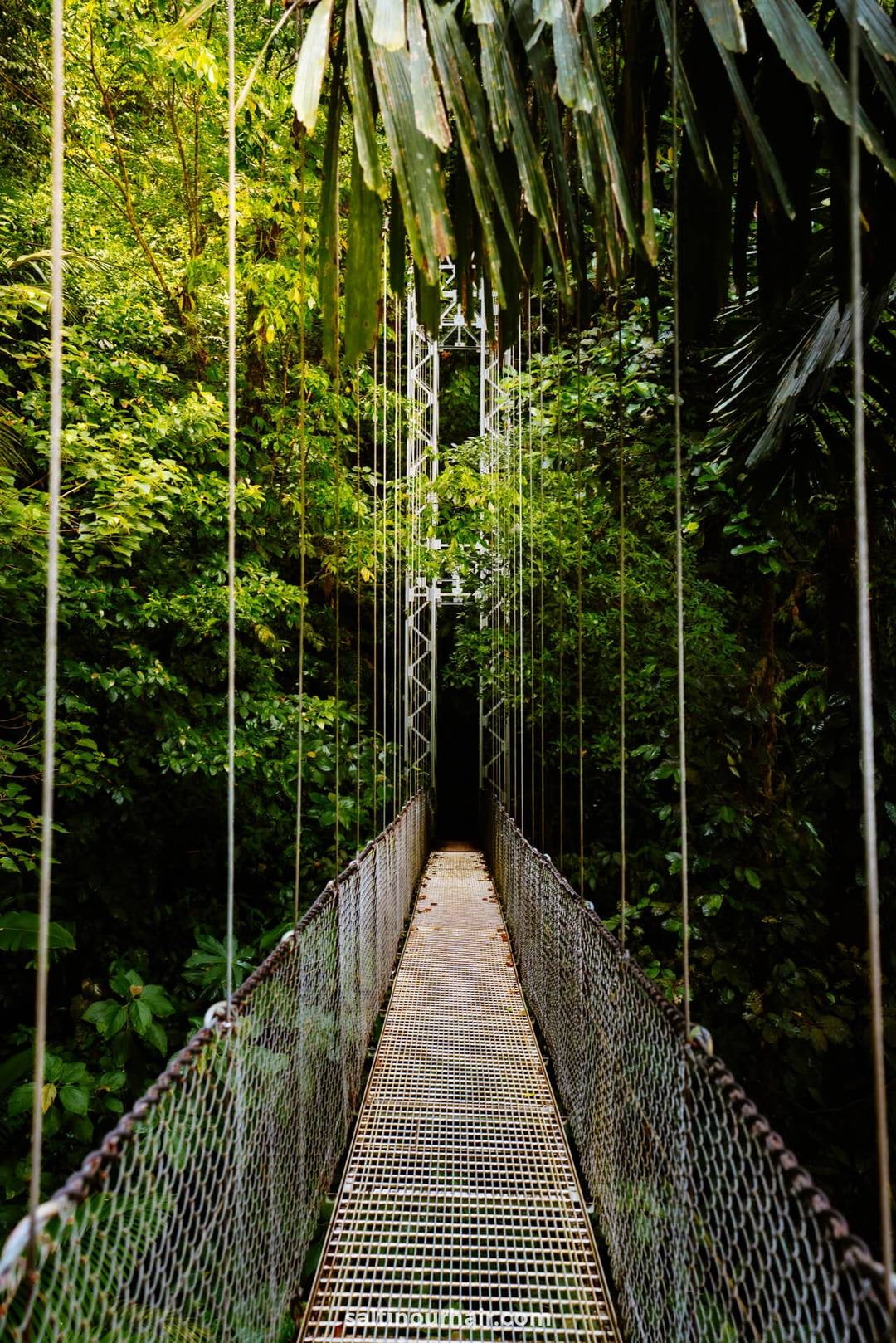 reisgids costa rica Mistico Hanging bridges
