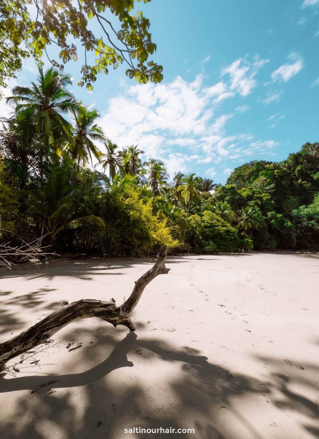 costa rica reisgids van 2 weken manuel antonio beach