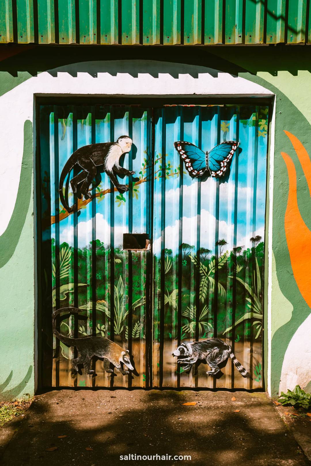 kunst Tortuguero 