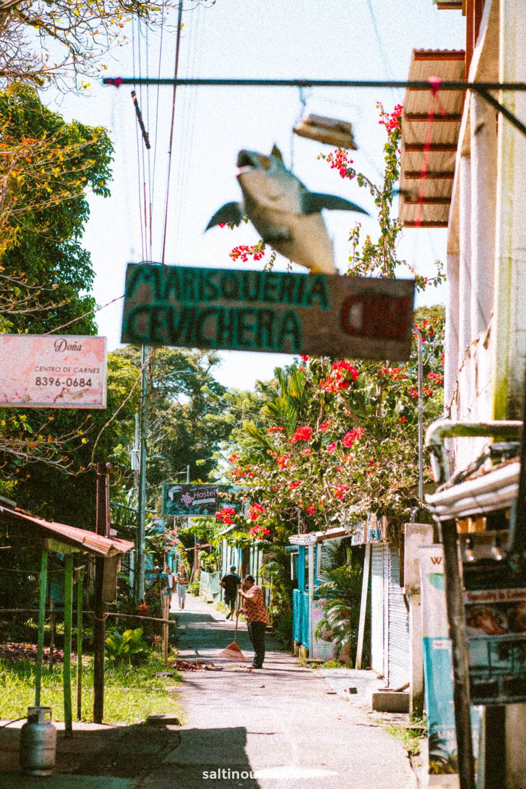 tortuguero restaurants