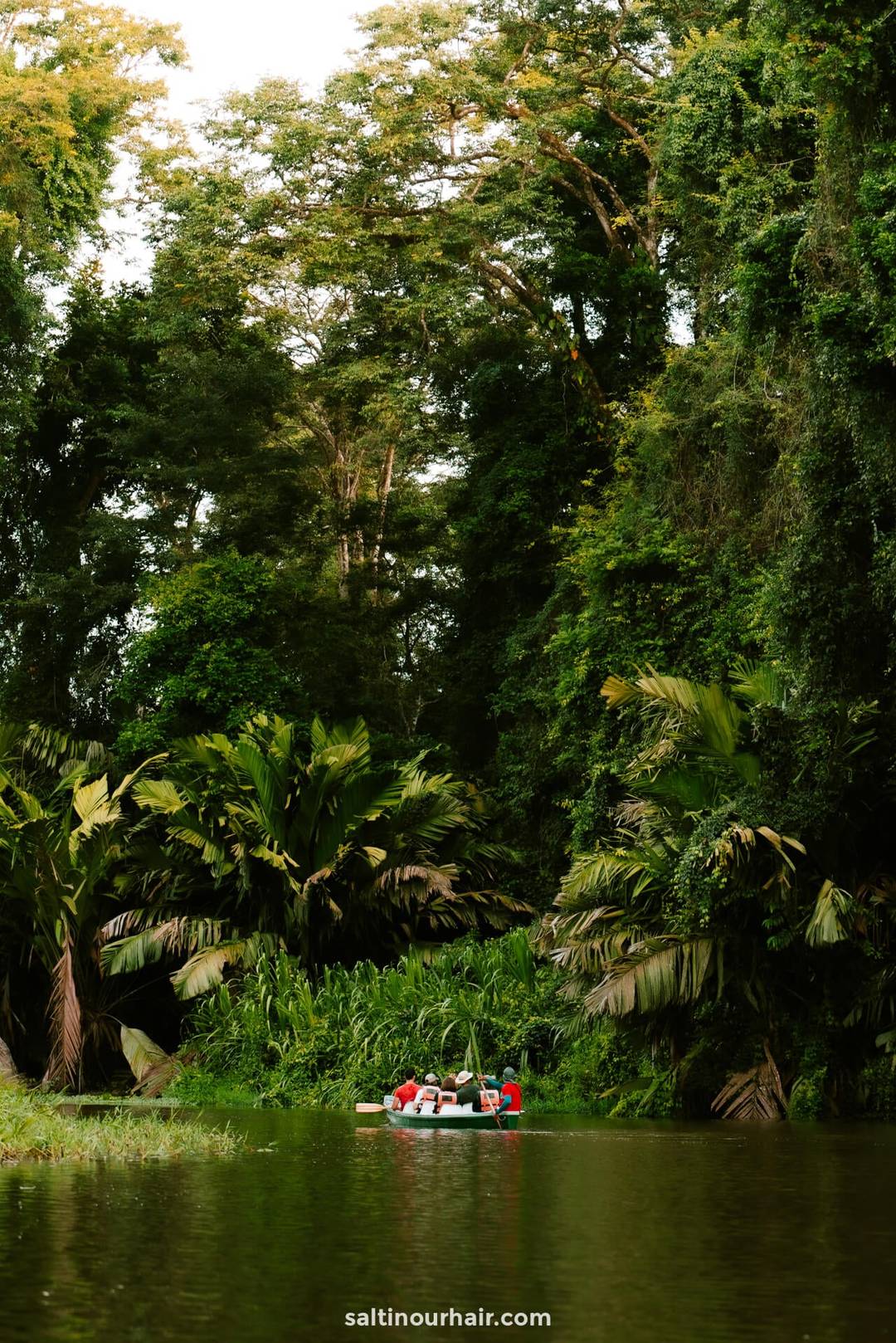 Kanotocht tortuguero national park