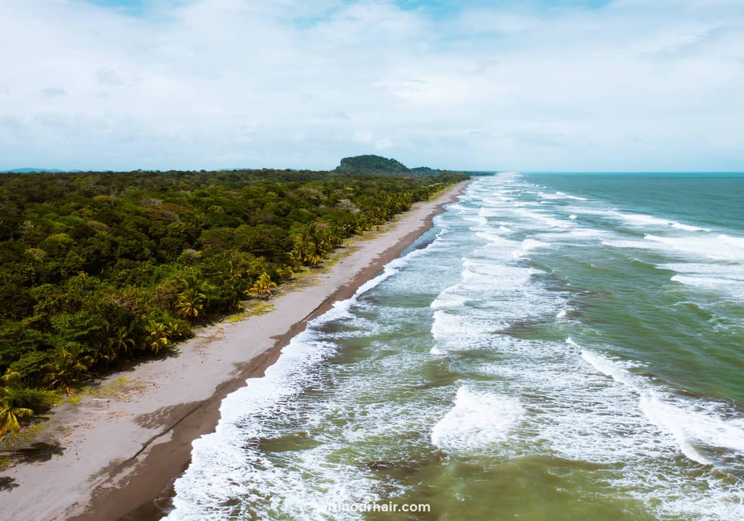 Playa Tortuguero costa rica