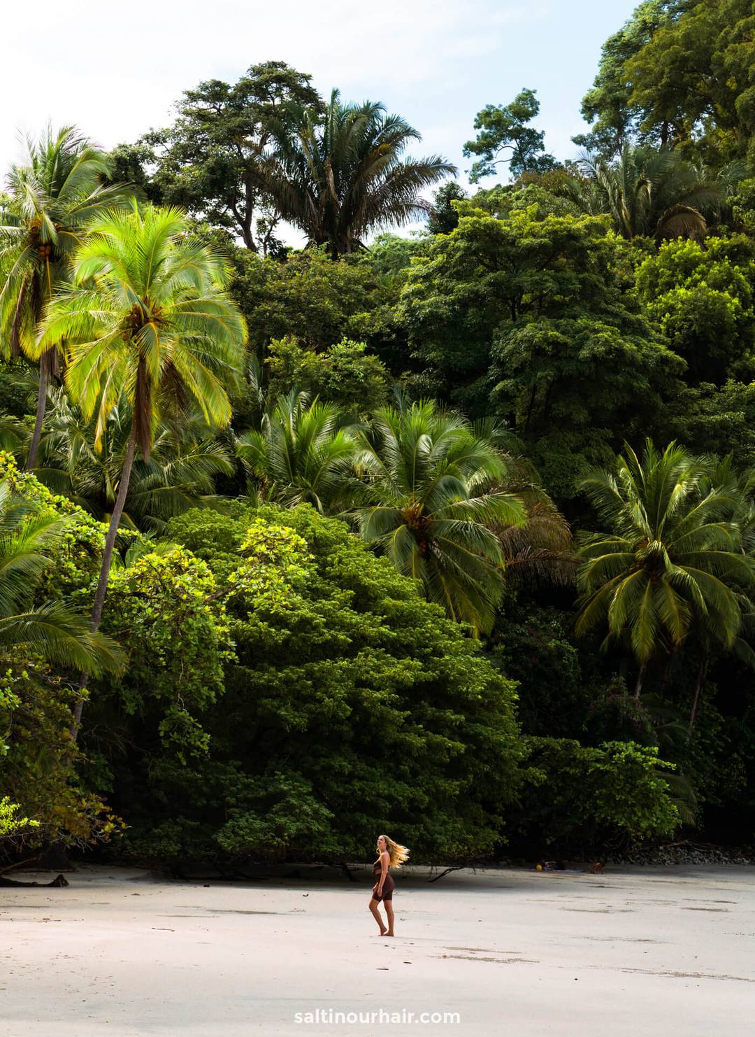 manuel antonio beach costa rica travel guide