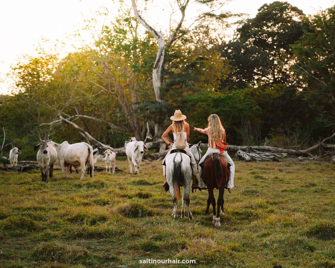 monteverde costa rica things to do horse trekking