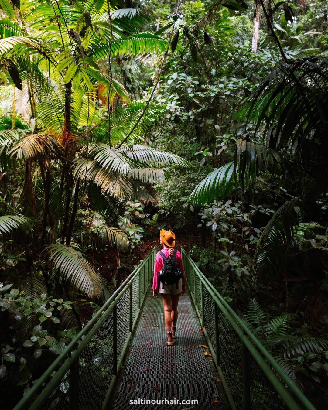 monteverde cloud forest costa rica