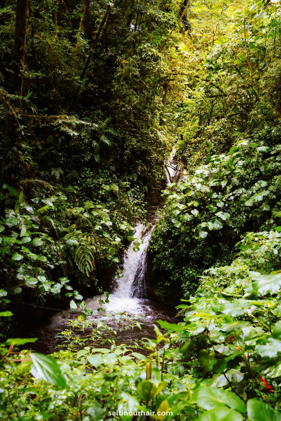 monteverde things to do cloud forest costa rica