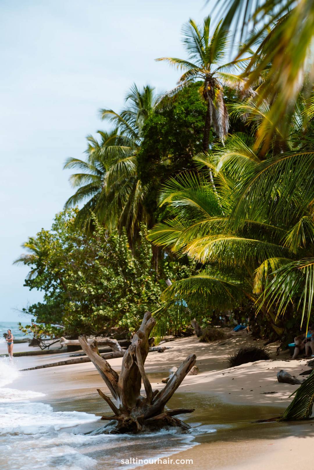 tropical beach costa rica