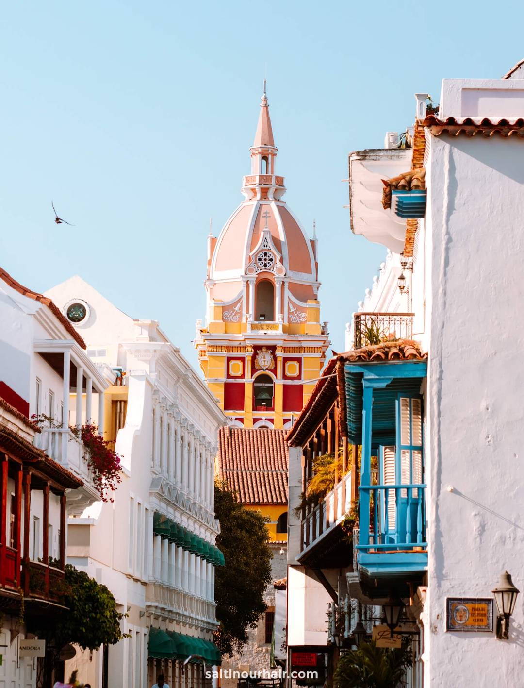 cartagena colombia reistips saltinourhair