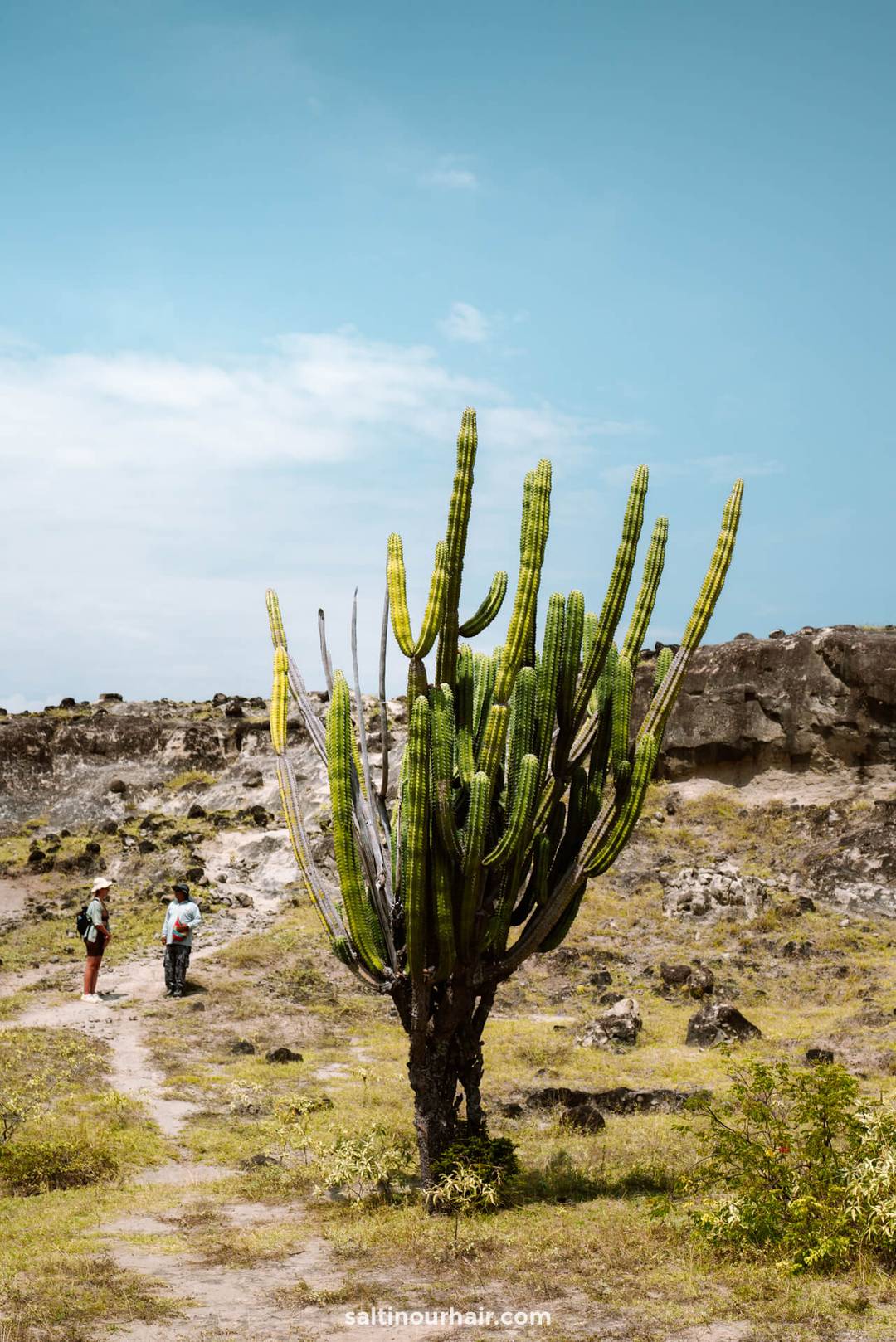 visit tatacoa desert colombia