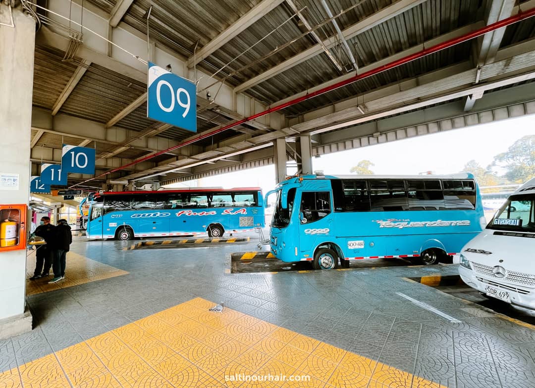 bus tatacoa desert