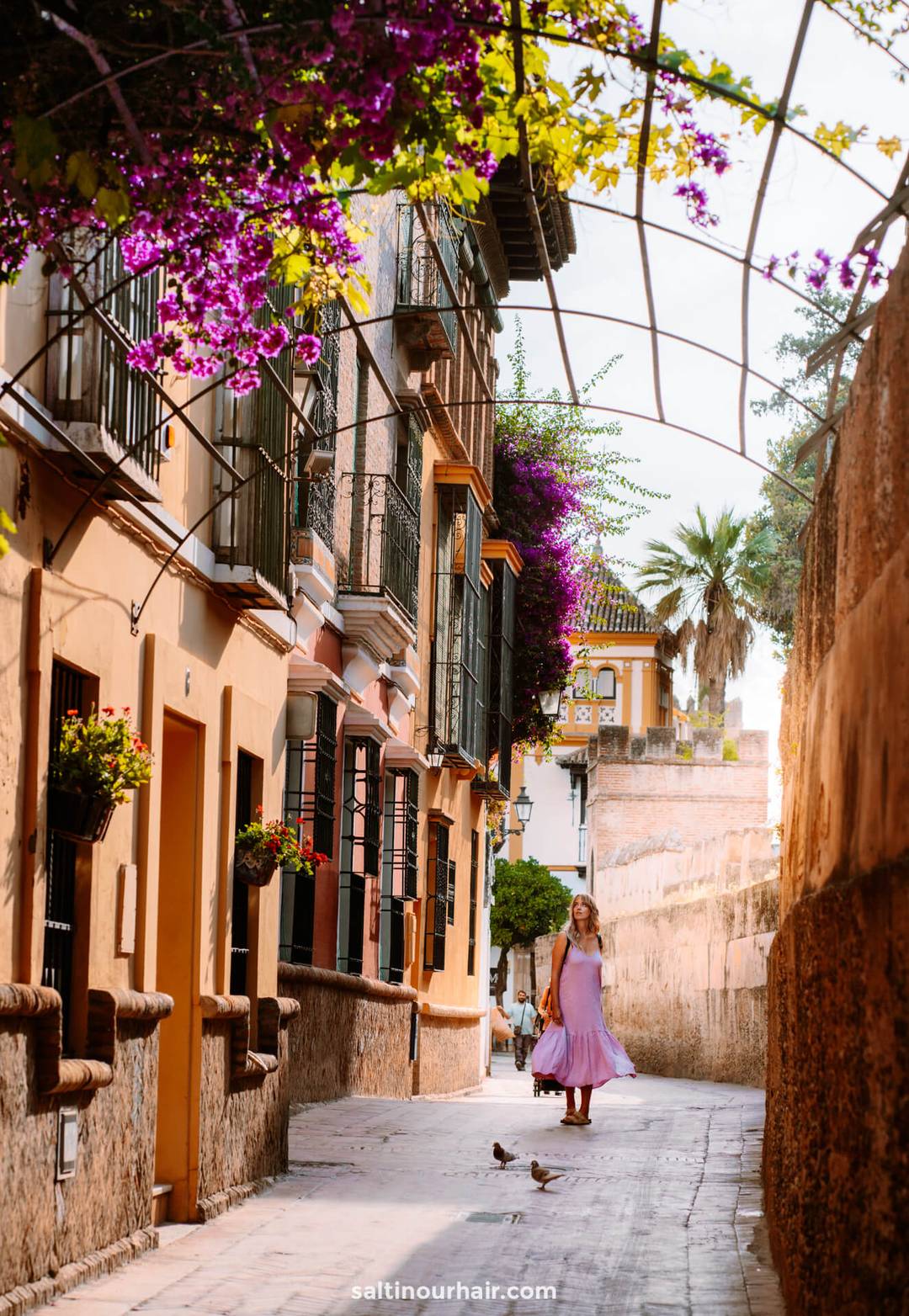 seville things to do Santa Cruz