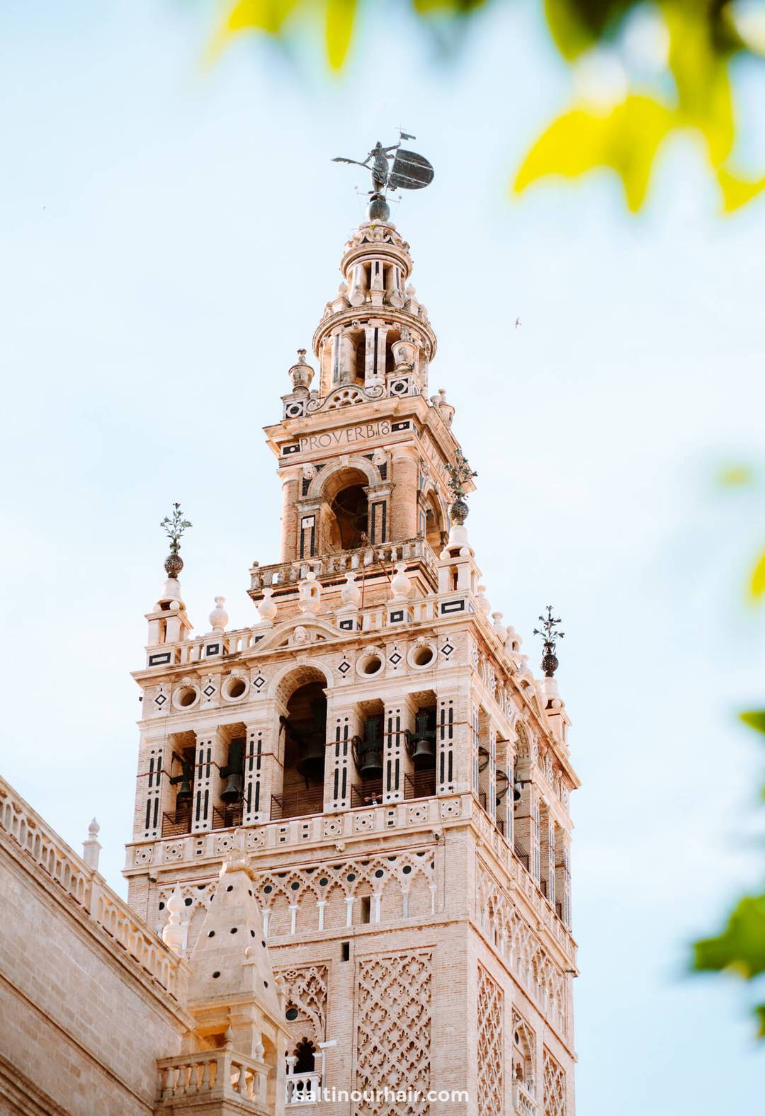 things to do seville spain Cathedral