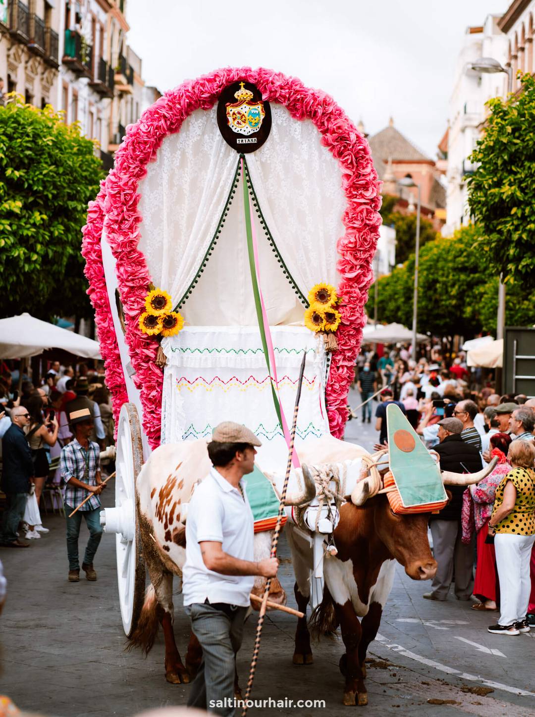 seville things to do El Rocio Pilgrimage