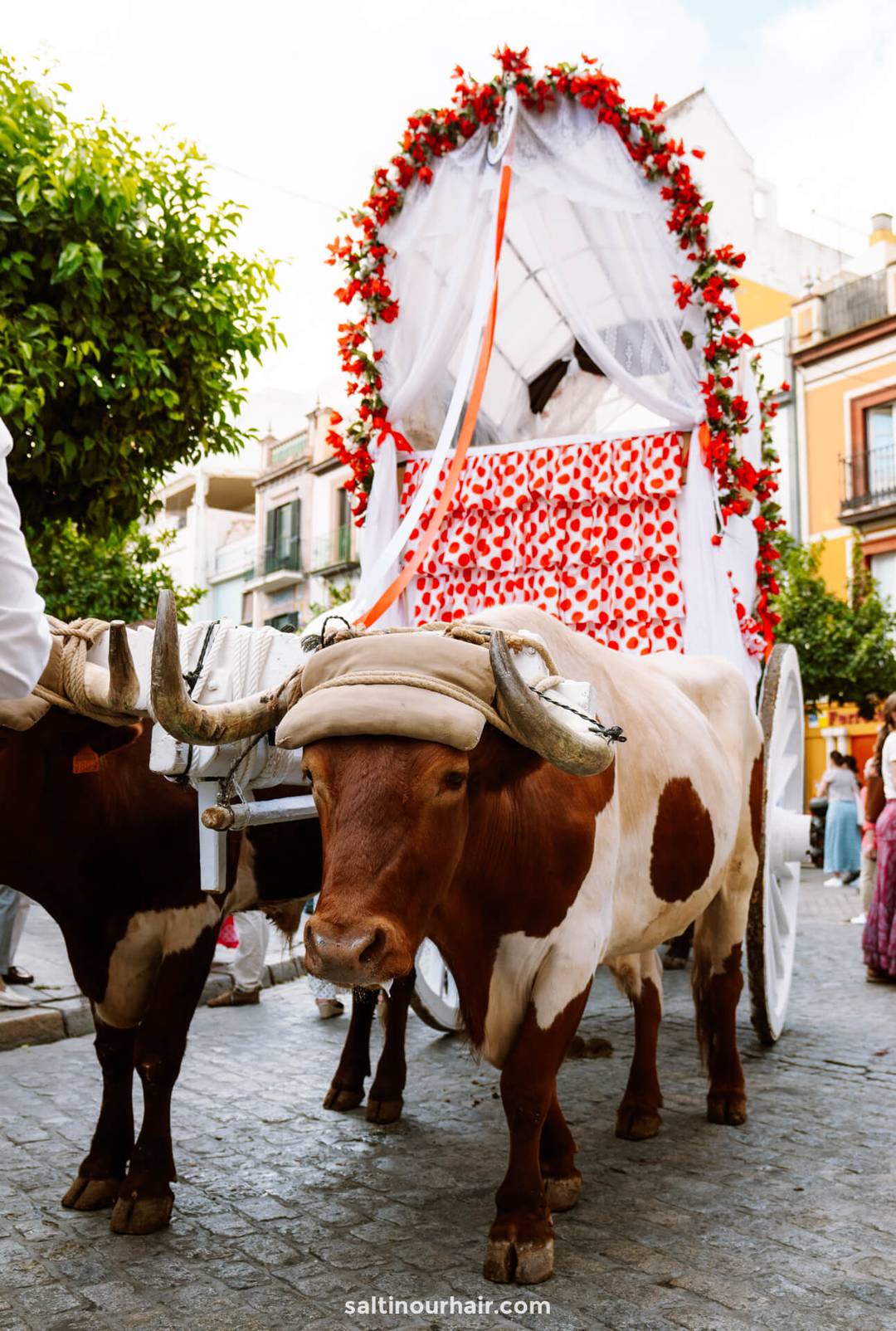 El Rocio Pilgrimage sevilla