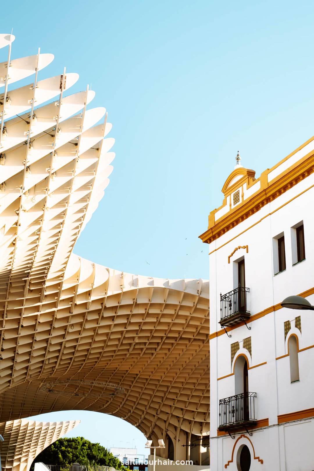 best things to do seville Setas de Sevilla