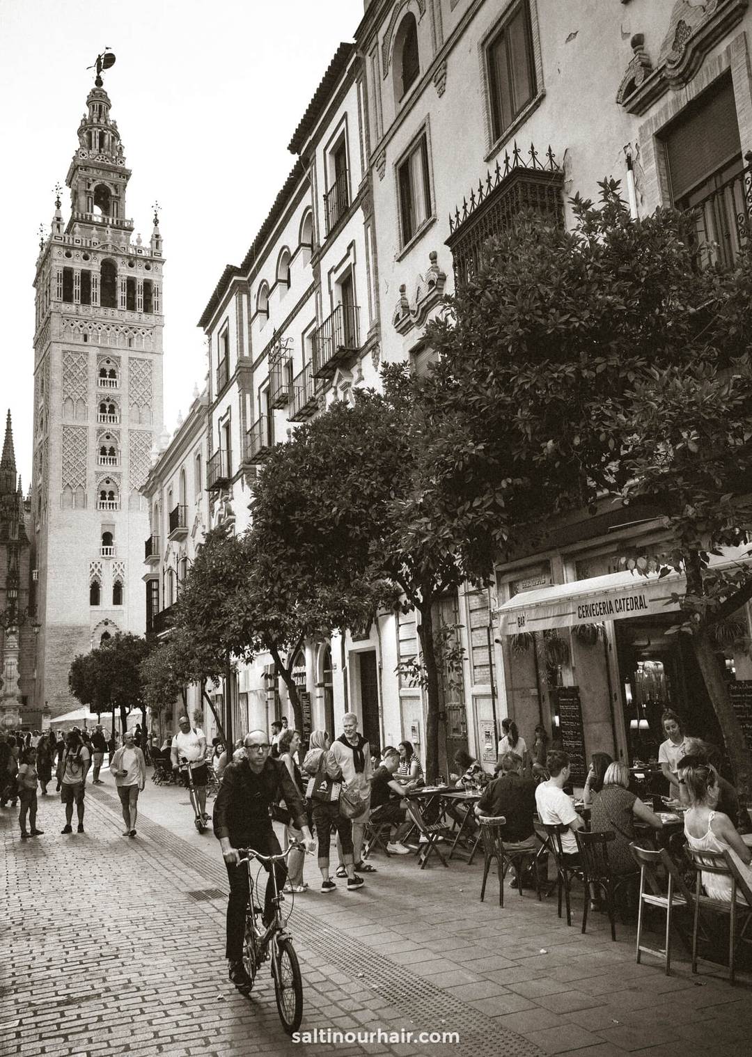 Cathedral of Seville