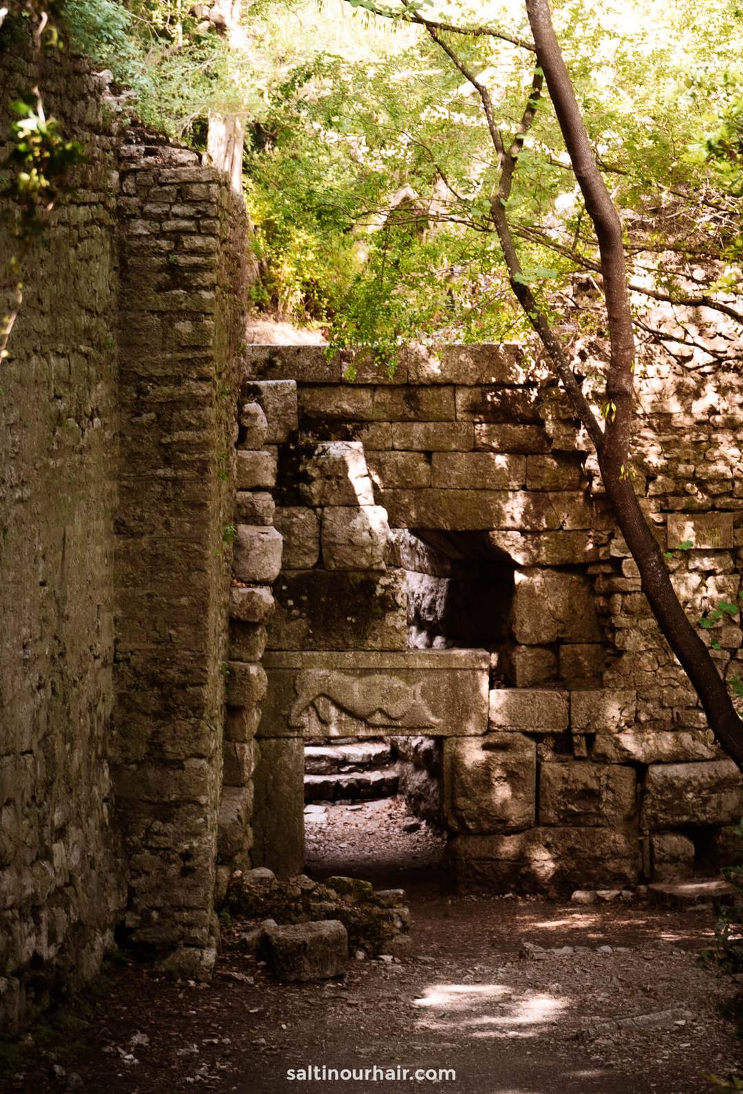 Lion Gate butrint albania