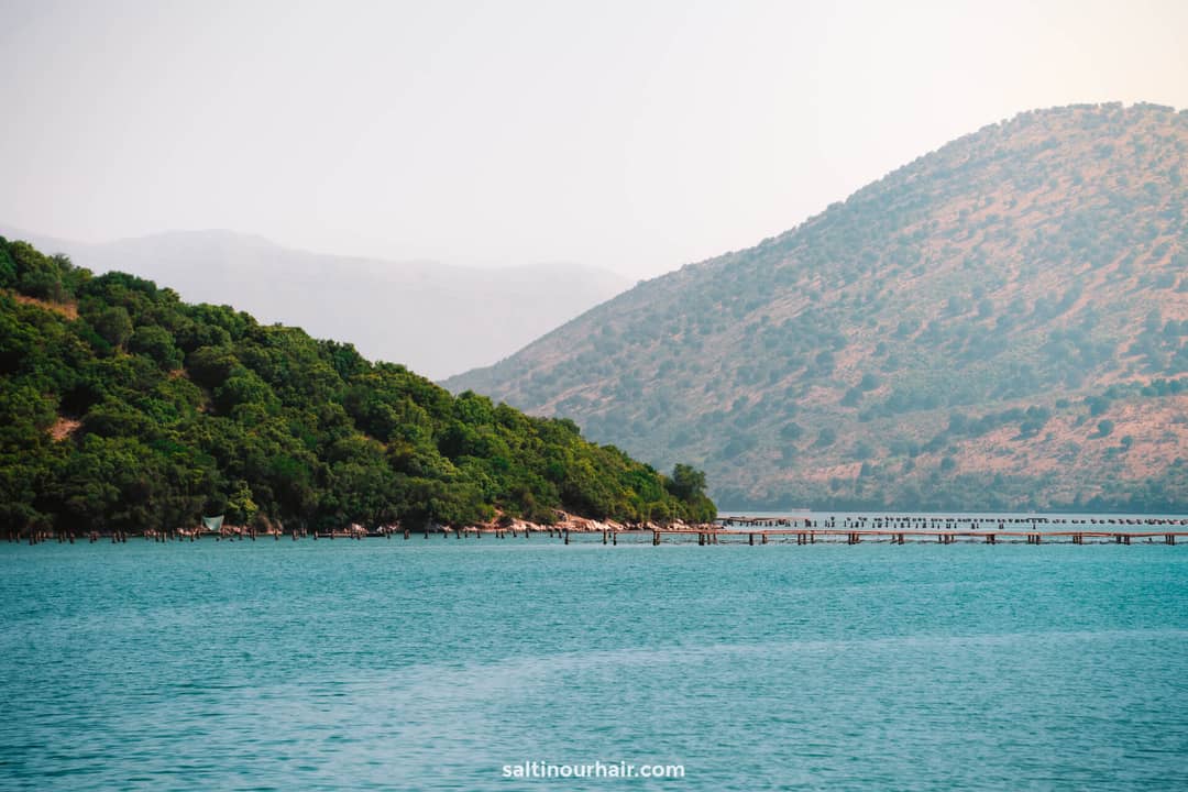 marshes butrint national park albania