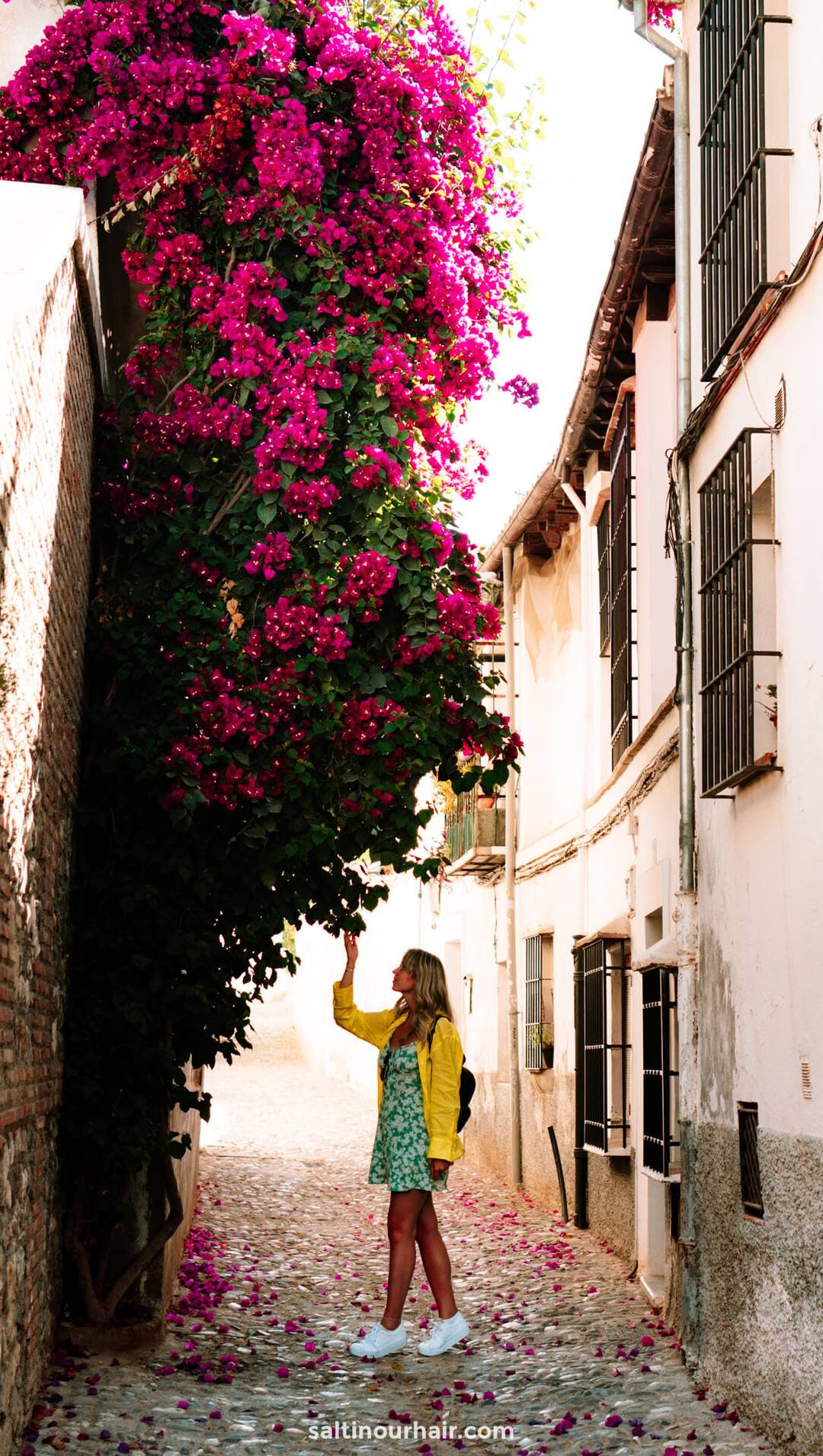 flower streets granada spain