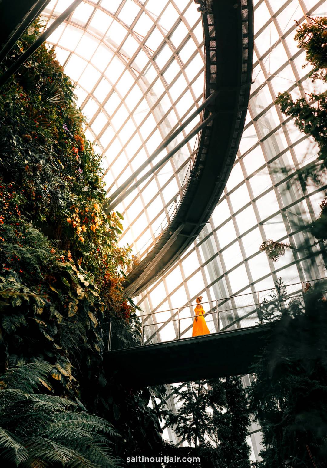 singapore babymoon destination