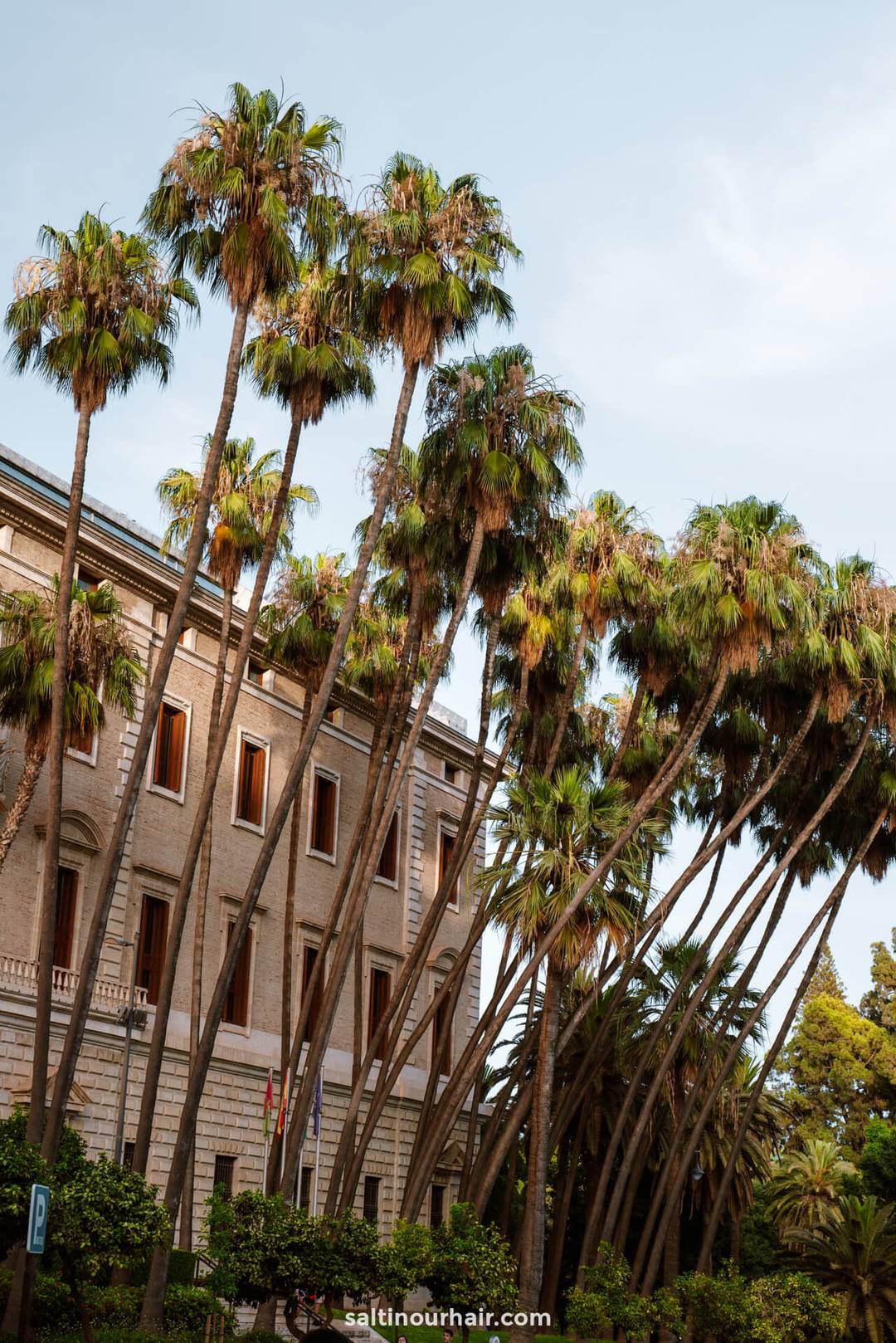 malaga andalusia road trip