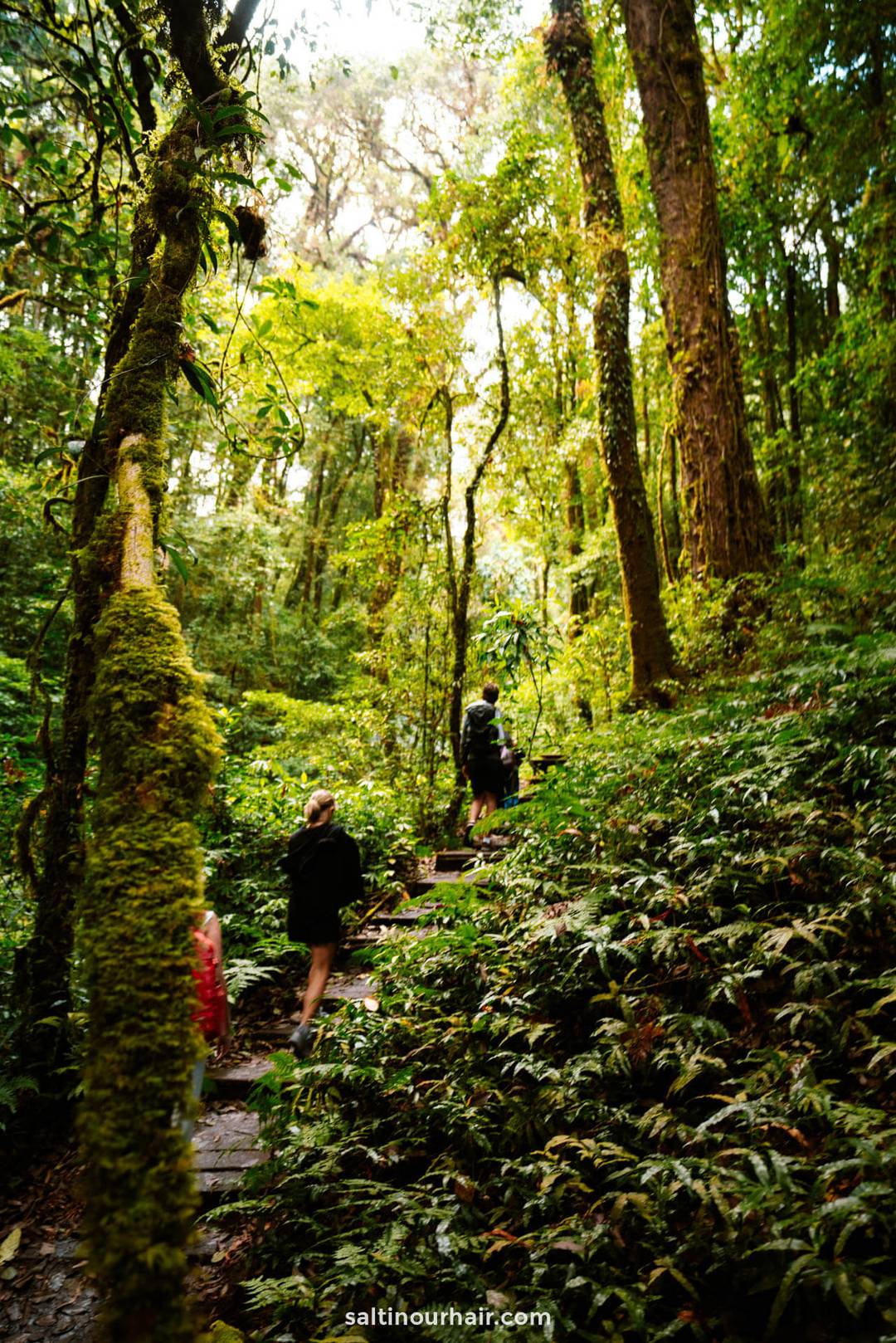 wandelpaden chaing mai thailand