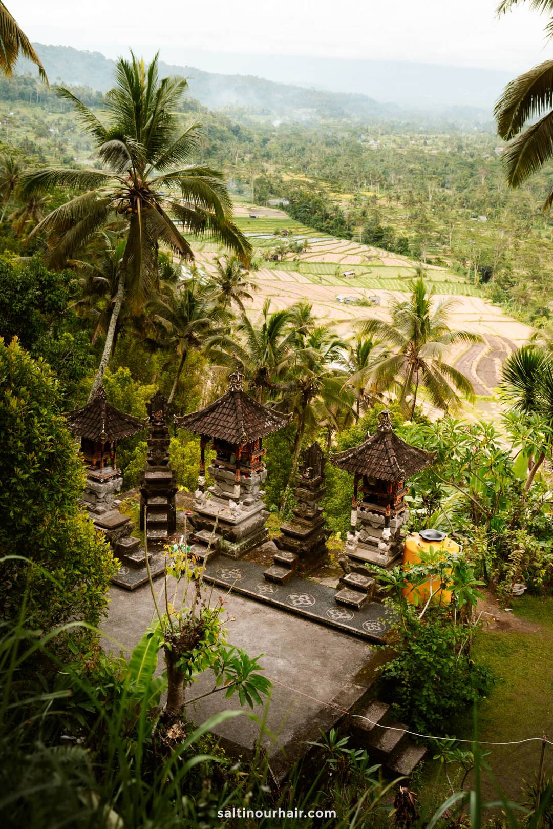 tempel bali rijstterras uitzicht
