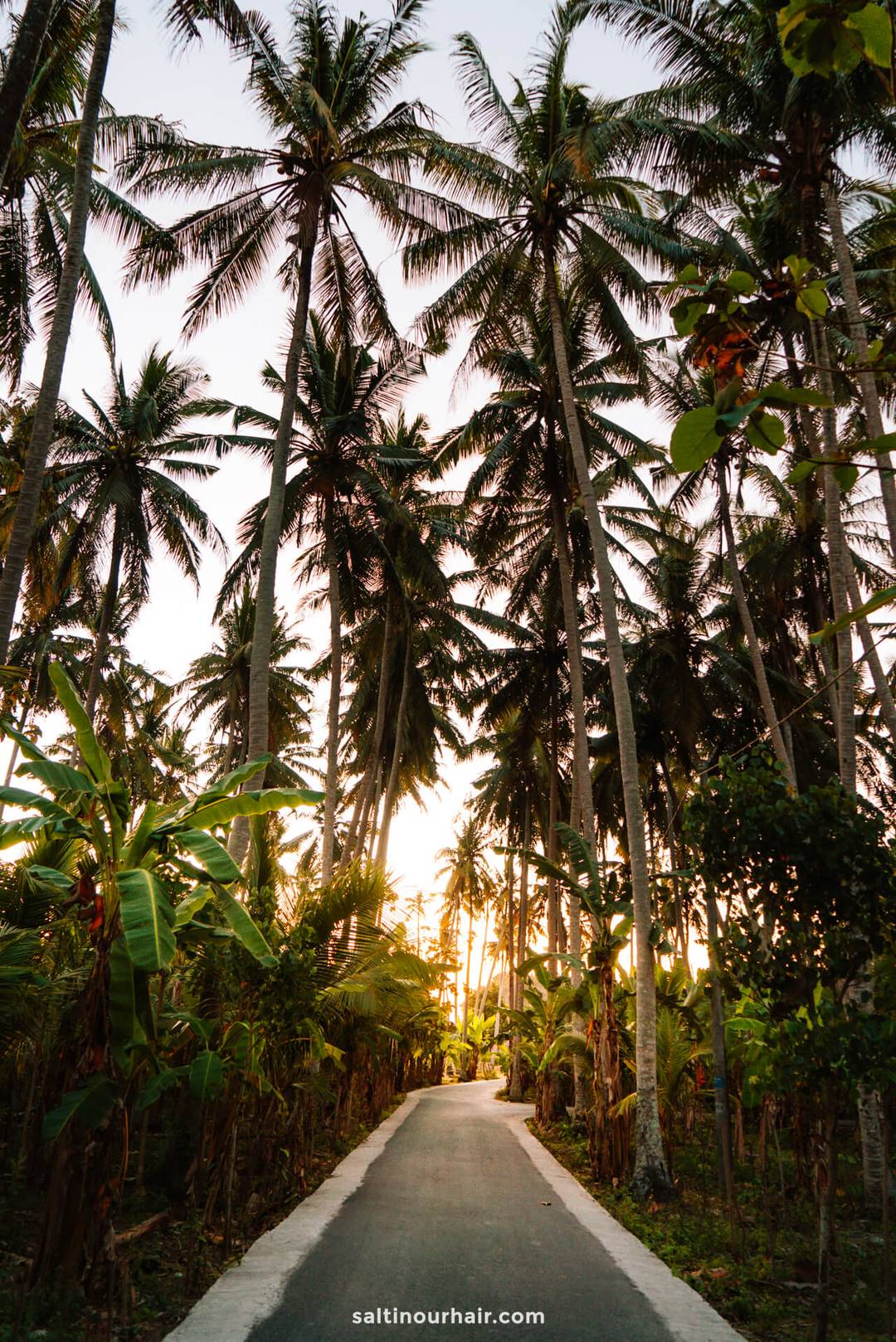 bali itinerary palm trees Crystal Bay Nusa Penida