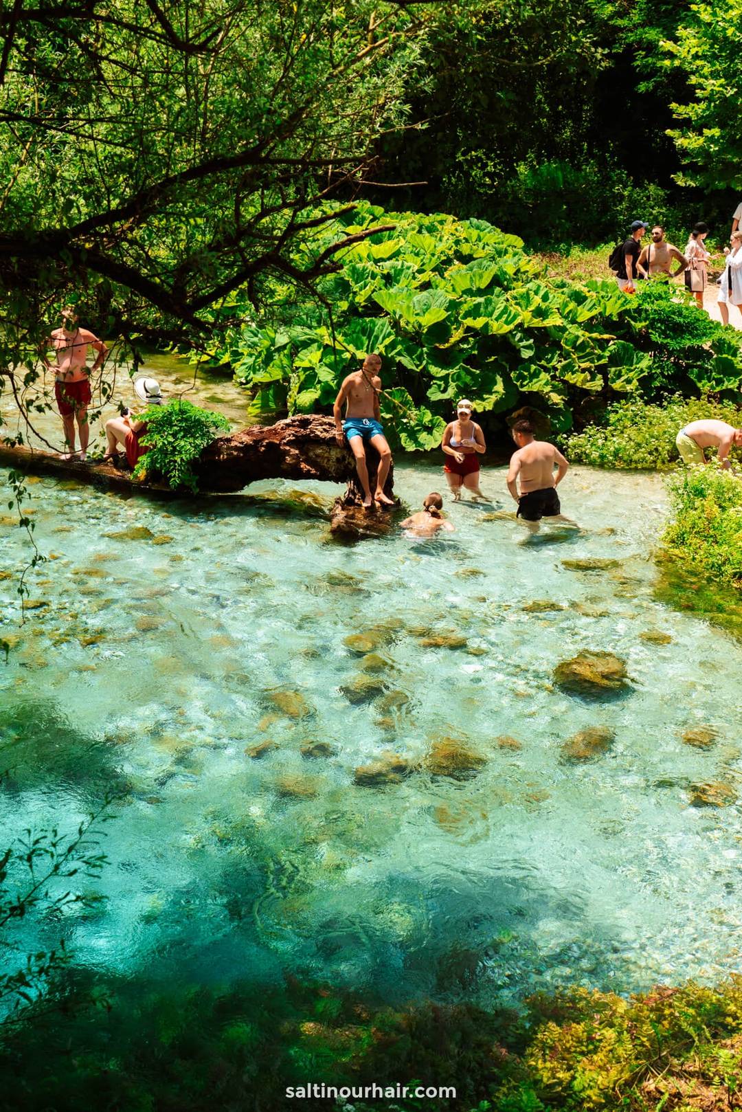 swim blue eye albania
