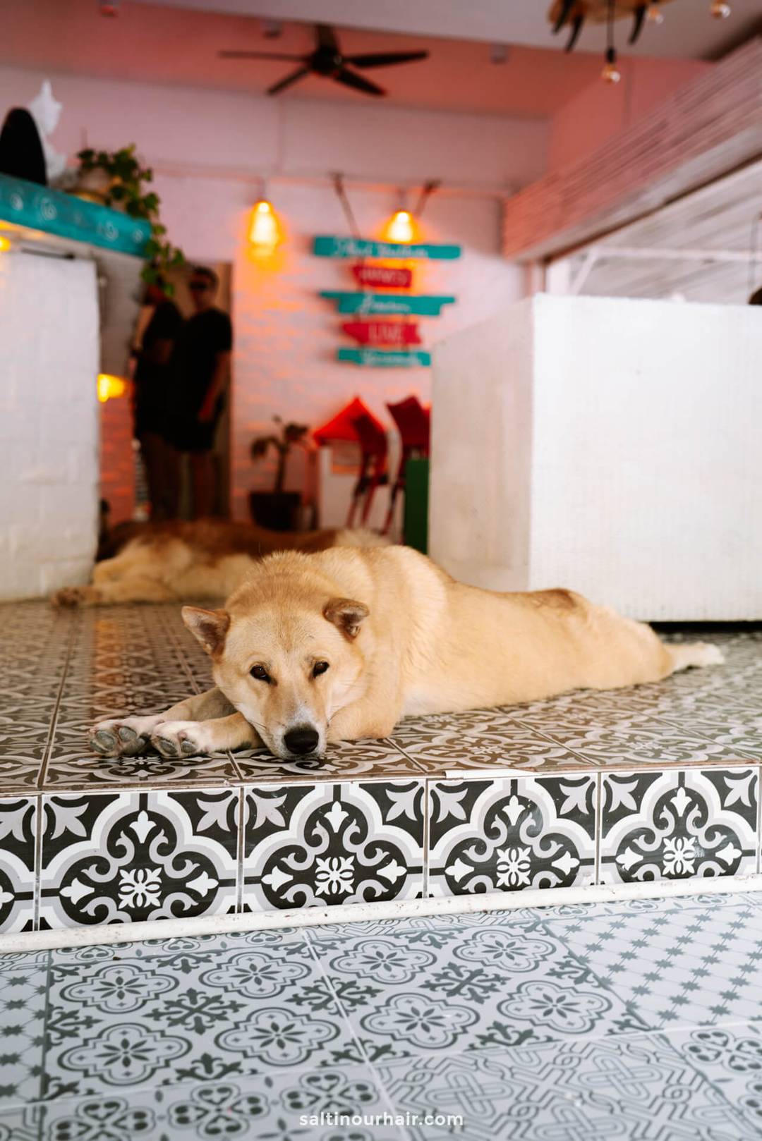 cafe phuket island