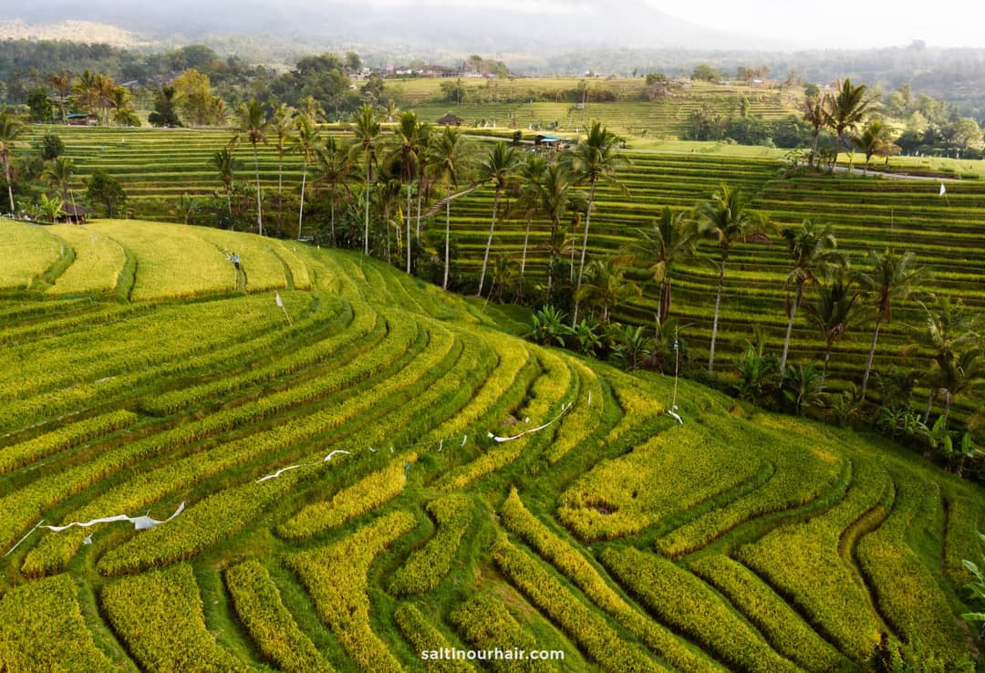 rijstterrassen sidemen bali indonesi&euml;
