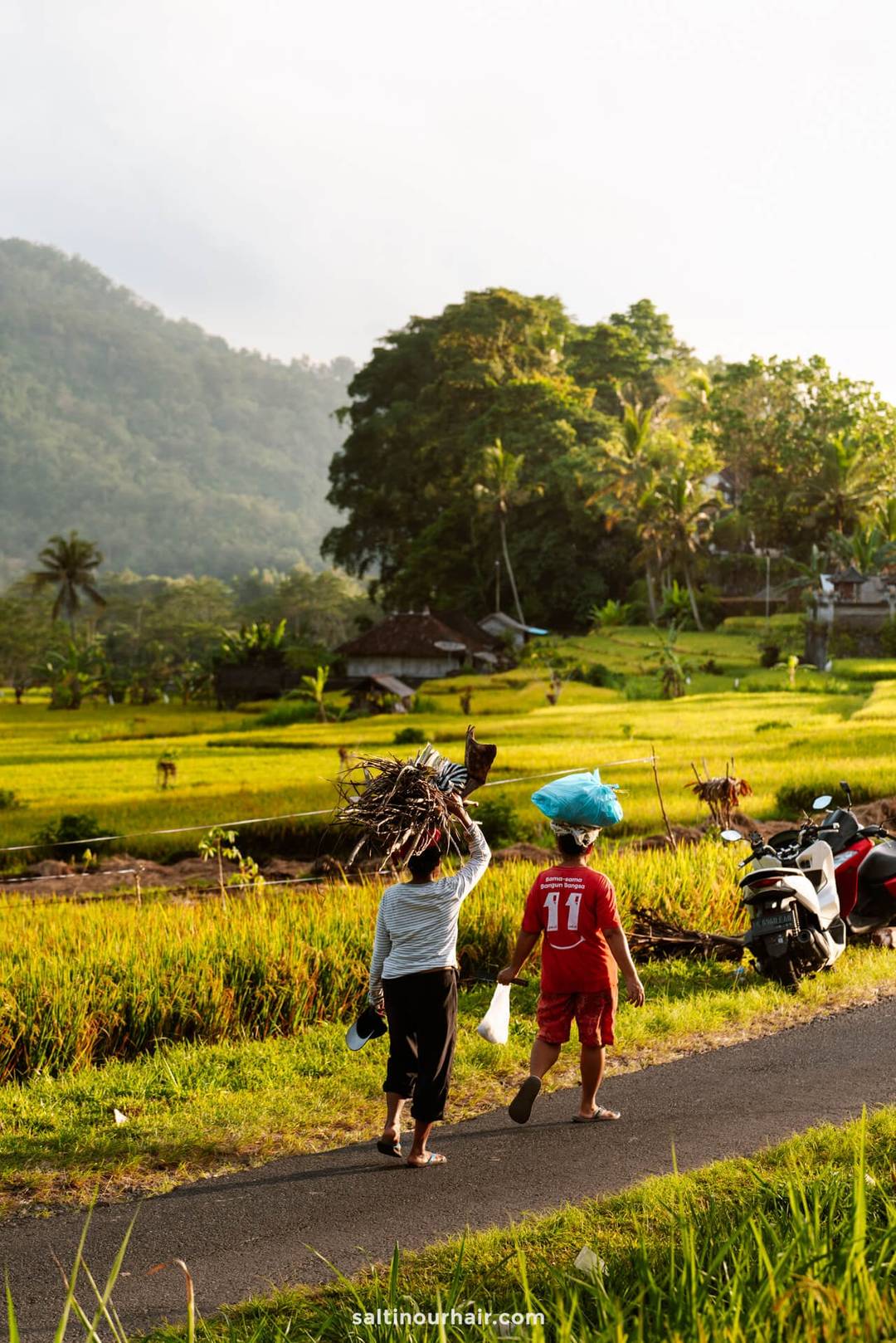 bali indonesi&euml; rijstterrassen lokale bevolking