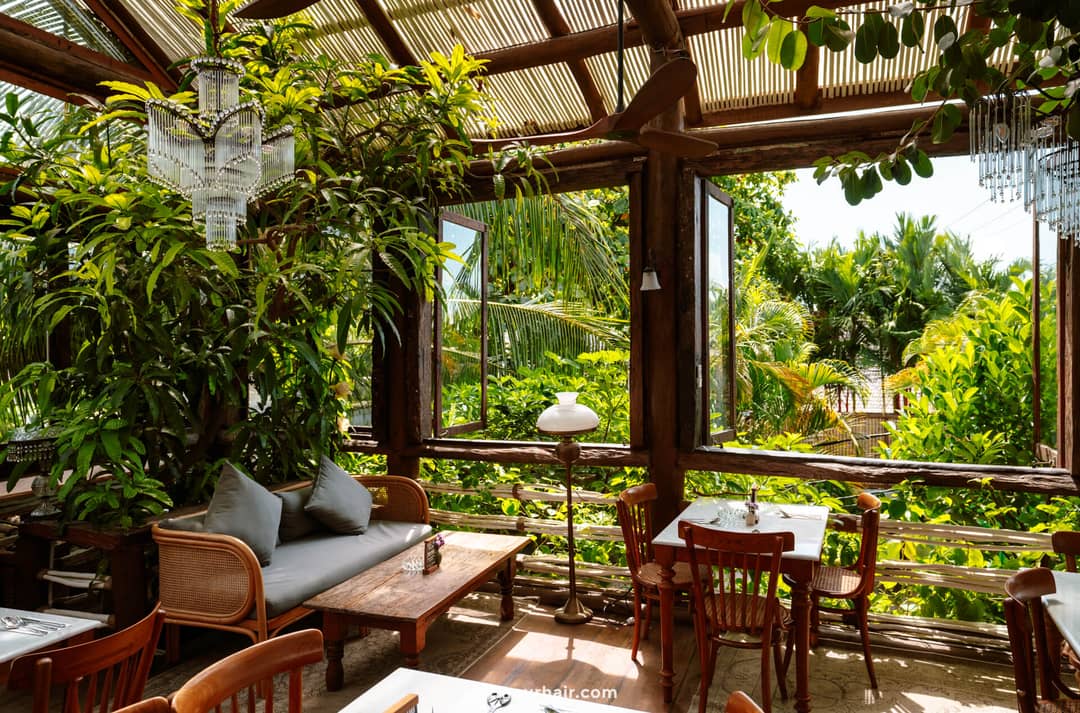 A sunlit caf&eacute; in Canggu, Bali, with wooden furniture, a glass ceiling, open windows, lush green plants, and views of tropical foliage&mdash;an inviting restaurant nestled amid the woods.