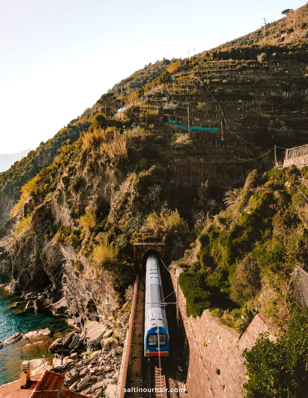 A blue train emerges from a tunnel in a rocky hillside beside terraced vegetation and the coastline, sunlight illuminating the scene&mdash;just one highlight you could witness on an Italy 7 day itinerary.
