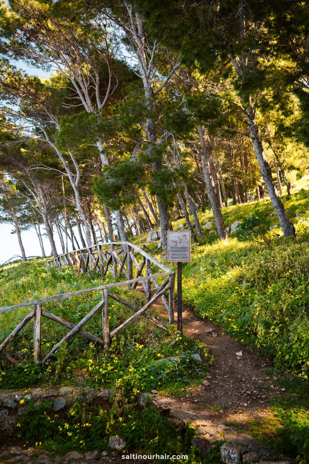 hiking in Madonie Regional Natural Park&nbsp;sicily