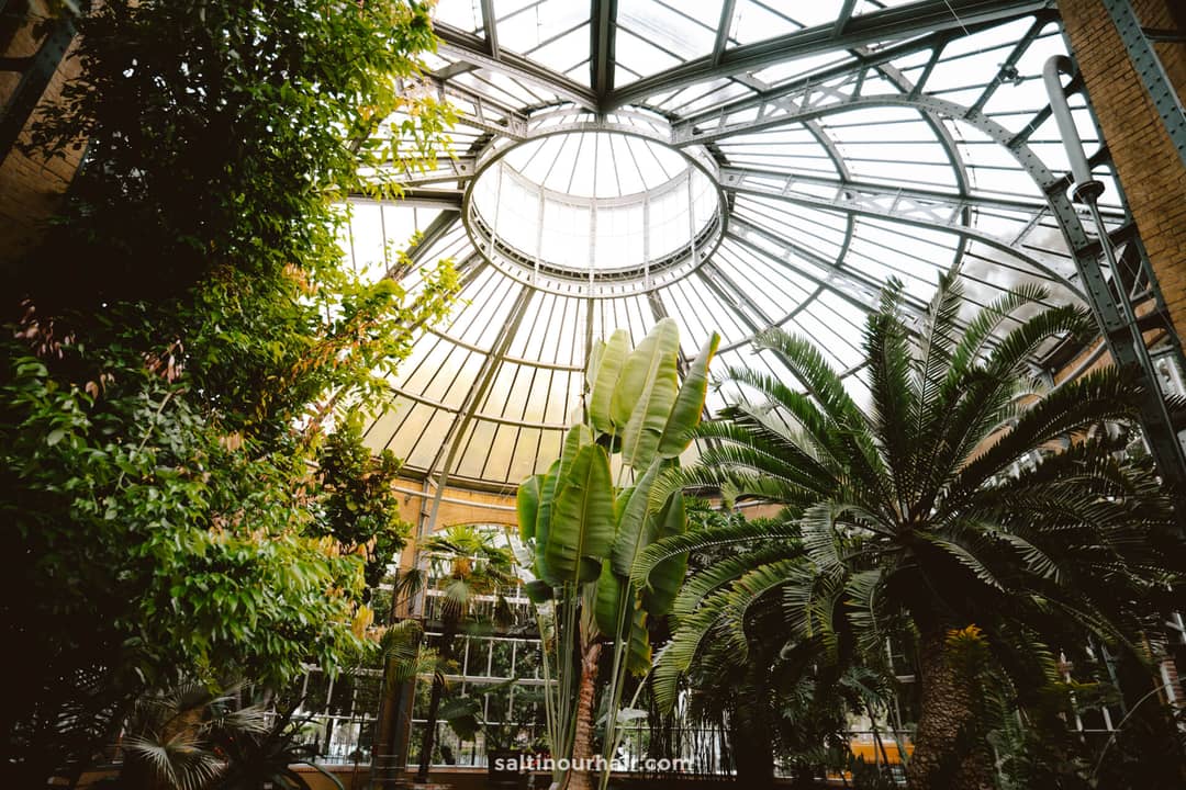 Orto Botanico di Palermo, Sicili&euml;