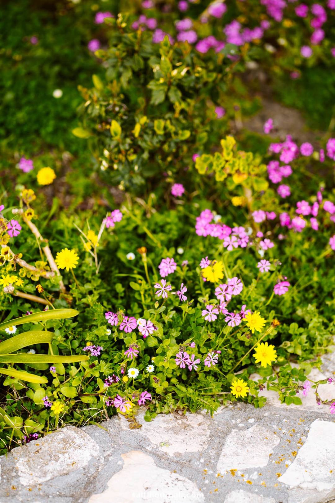 Things to do in Erice - Garden of Balio
