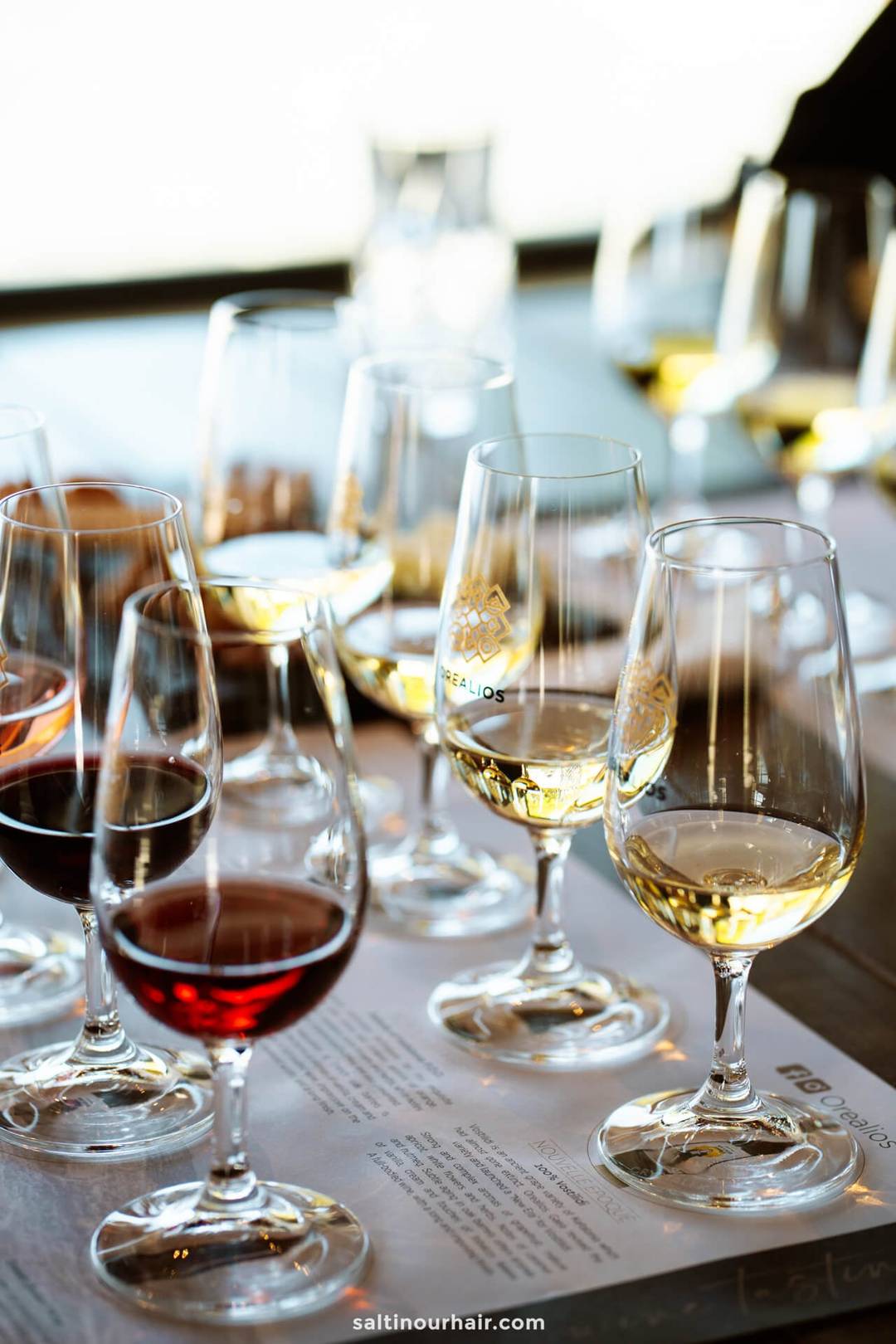 wine tour funchal madeira