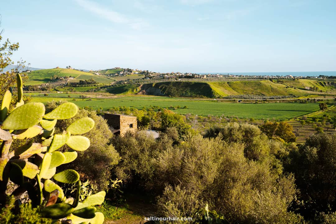 Kolymbetra Garden Agrigento valley of the temples sicily