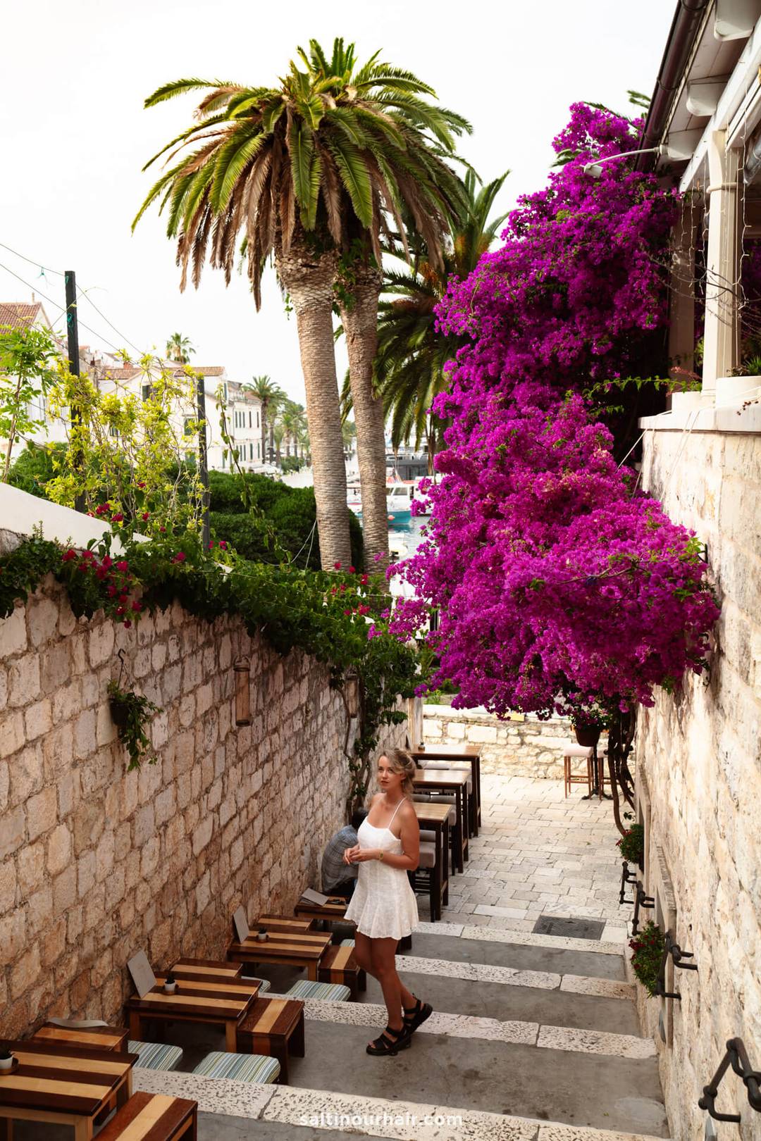 Croatia itinerary 7 days hvar town bougainvillea
