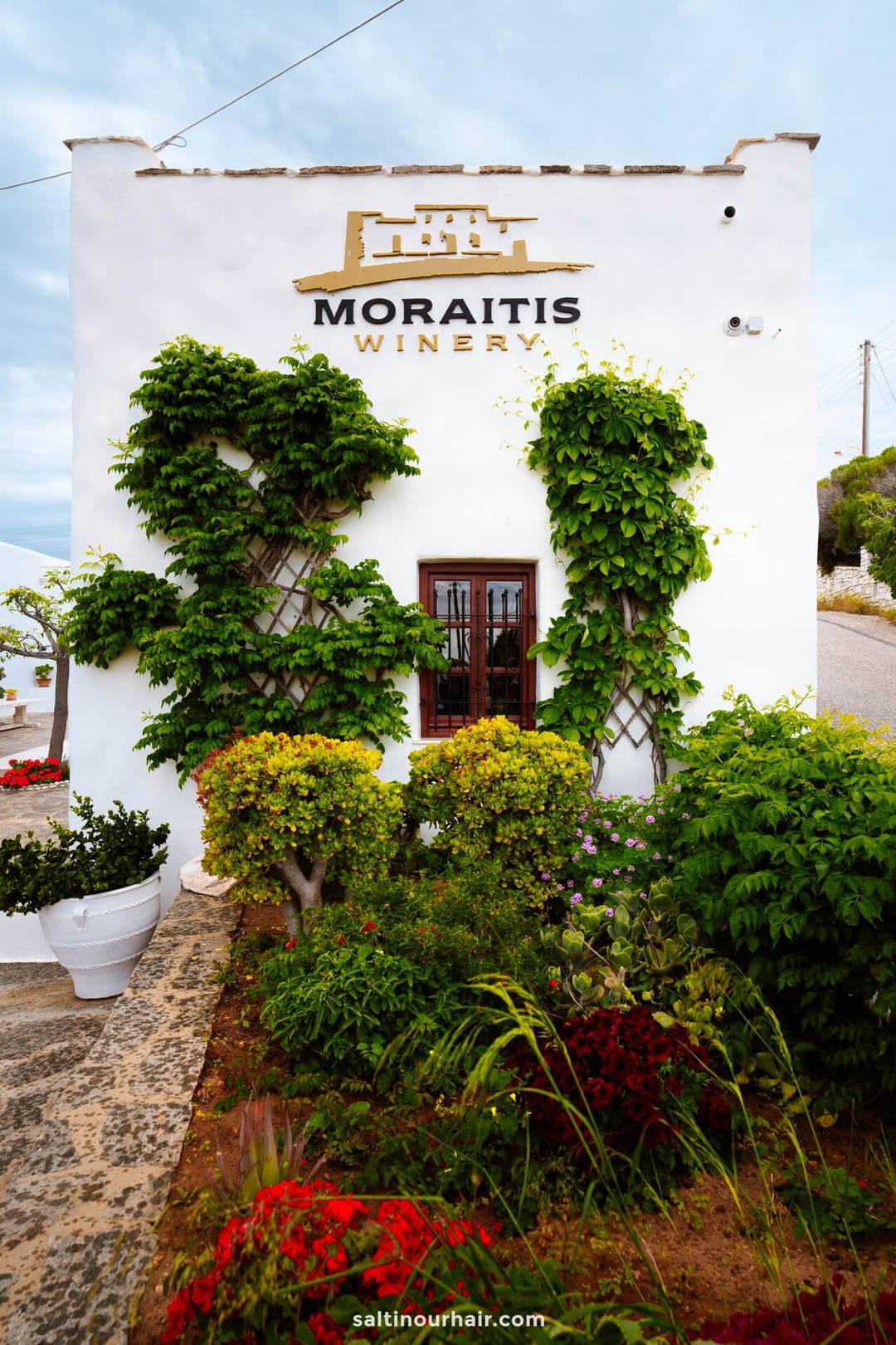 paros griekenland MORAITIS Wijnmakerij