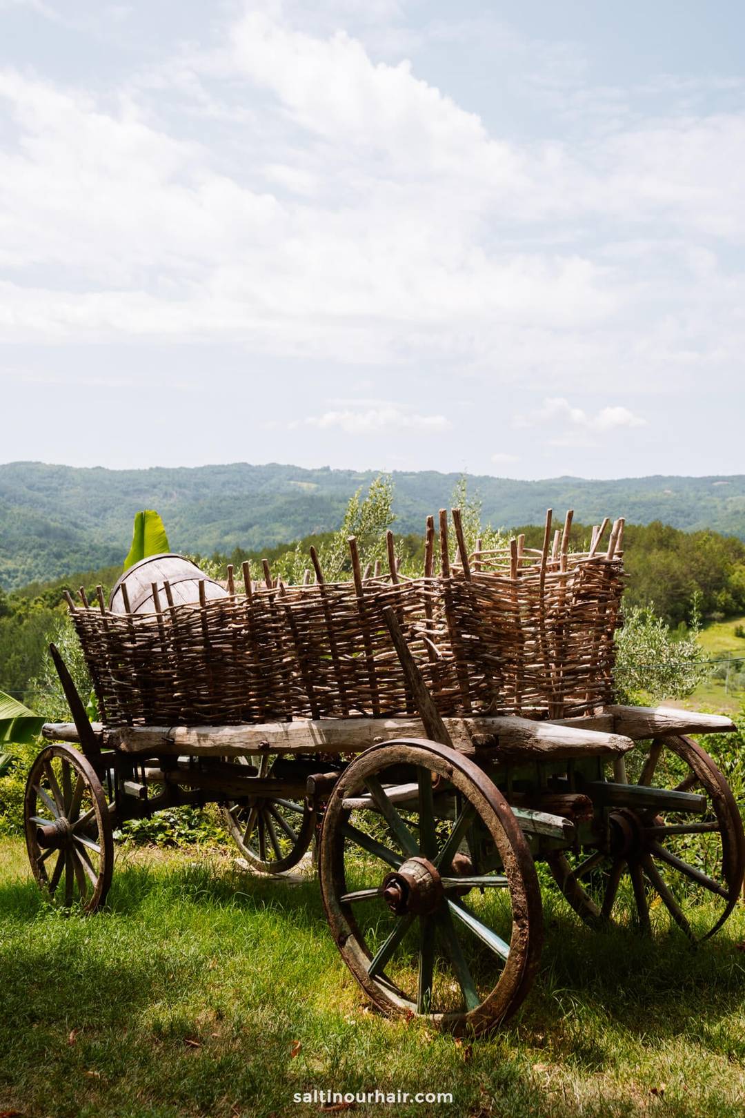 wood cart istria
